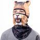 Balaclava Lion Samurai