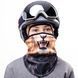 Balaclava Lion Samurai