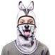 Balaclava Husky Samurai