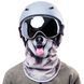 Balaclava Husky Samurai